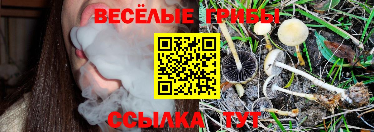 Чехов  Галлюциногенные грибы GOLDEN TEACHER  Вход с VPN 
