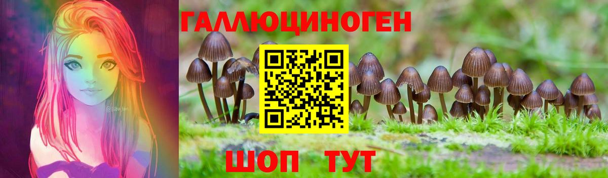 Псилоцибиновые грибы Psilocybe Чехов