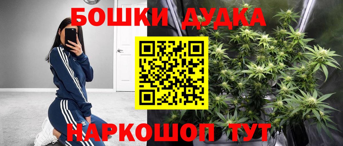 Бошки Шишки планчик Чехов